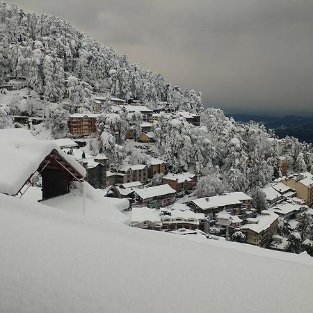Ymca Tourist Hostel Shimla Exterior foto